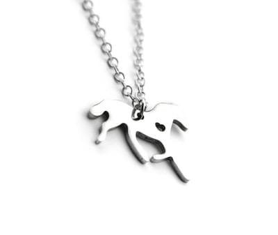 GoedeDoelen.Shop | Ketting Hartendief | Paarden Ketting | Paarden Sieraad | Dieren Sieraad | Love Horses | Dierenwelzijn | Wellness-House
