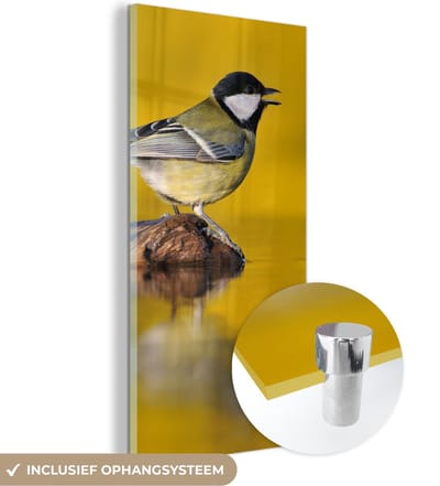 MuchoWow® Glasschilderij 20x40 cm - Schilderij acrylglas - Koolmees - Vogel - Water - Foto op glas - Schilderijen