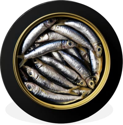 WallCircle - Wandcirkel - Muurcirkel - Sardines - Vissen - Rond - Zwart - Aluminium - Dibond - 30x30 cm - Binnen en Buiten