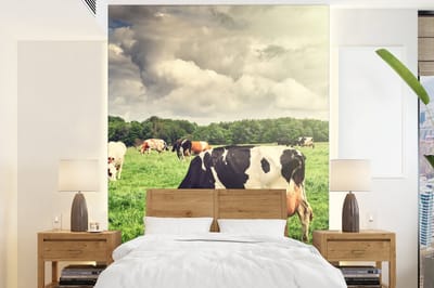 Behang - Fotobehang Koeien - Weiland - Natuur - Dieren - Landschap - Breedte 160 cm x hoogte 220 cm