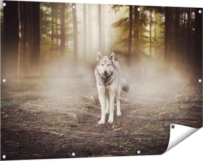 Gards Tuinposter Grijze Wolf in het Bos - 120x80 cm - Tuindoek - Tuindecoratie - Wanddecoratie buiten - Tuinschilderij