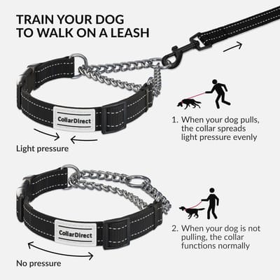 Reflecterende Martingale Hondenhalsband - Verstelbare Choke Halsband voor Training en Dagelijks Gebruik