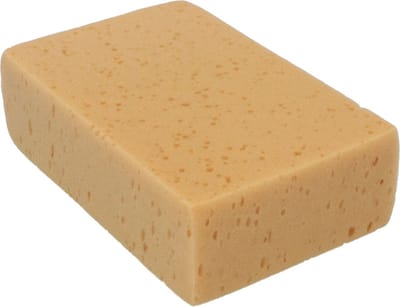 Protecton Spons - Mengt makkelijk shampoo & water - Verwijdert hardnekkig vuil – Voor kunststof delen, chroom, lak en glas - Hoog absorberend vermogen - 20x13x6cm