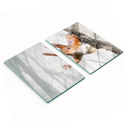 Set van twee decoratieve glazen snijplanken met eekhoornmotief voor in de keuken, 2x40x52 cm