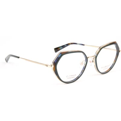Ana Hickmann Optical Frame HI1250T H02 53 Titanium