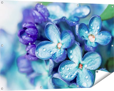 Gards Tuinposter Blauwe Lila Bloemen - Seringen - 120x80 cm - Tuindoek - Tuindecoratie - Wanddecoratie buiten - Tuinschilderij