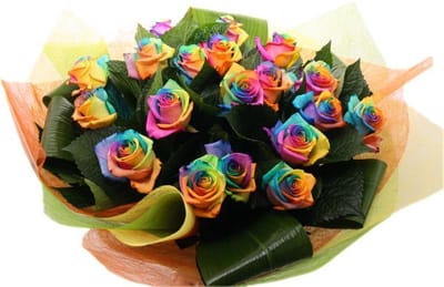 Boeket 25 regenboog rozen