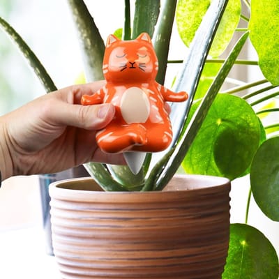 Gift Republic Planten Waterdruppelaar - Yoga Cat