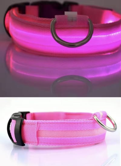 CHPN - LED-Halsband - Lichtgevende Honden halsband - Halsband - Roze - S - 22-40 cm - Dierenband - Collar - Roze halsband - Hippe halsband voor de hond - Werkt op batterijen