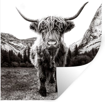 Muurstickers - Sticker Folie - Berg - Zwart - Wit - Schotse Hooglander - 100x100 cm - Plakfolie - Muurstickers Kinderkamer - Zelfklevend Behang XXL - Zelfklevend behangpapier - Stickerfolie