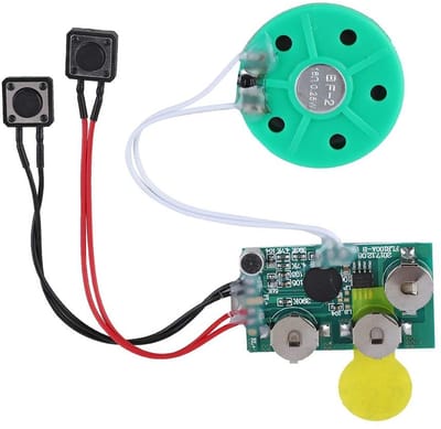 NTH products - DIY Wenskaart Chip - Geluidsmodule voor Geschenken - 4 Minuten Opname - Creatieve Geschenkboksen - Muziek voor Kaarten - Geschikt voor Ki...