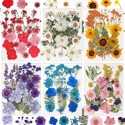 BOTC Natuurlijk Gedroogde Bloemen - Droogbloemen - 103 stuks - Set van 6 stuks - voor Hars sieraden, Scrapbooking, Doe-het-zelf zeep, Kaarsen en nageldecoratie