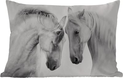 Buitenkussens - Tuin - Paard - Dieren - Portret - Wit - 50x30 cm