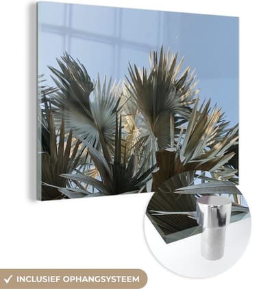 MuchoWow® Glasschilderij 160x120 cm - Schilderij acrylglas - Palm - Bladeren - Tropisch - Zomer - Foto op glas - Schilderijen