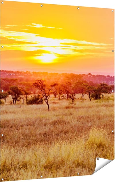 Gards Tuinposter Zonsondergang in de Savanne - 120x160 cm - Tuindoek - Tuindecoratie - Wanddecoratie buiten - Tuinschilderij