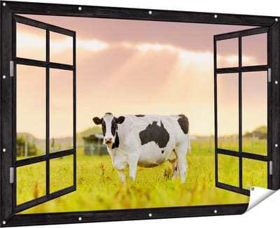 Gards Tuinposter Doorkijk Zwart Wit Koe in de Wei bij Zonsopkomst - 180x120 cm - Tuindoek - Tuindecoratie - Wanddecoratie buiten - Tuinschilderij