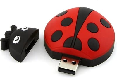 Lieveheersbeestje usb stick 128GB 3.0 - dieren