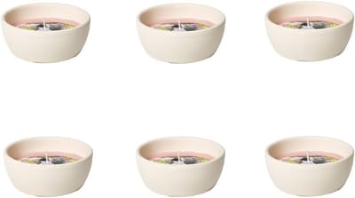 Set van 6 Vuurschalen Terracotta met Citronella voor Buiten - 13 uur brandduur - Windbestendig - Muggenwerend - 10,9 x 10,9 x 4,6 cm