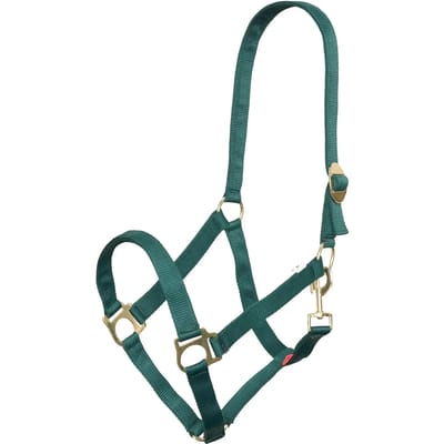Imperial Riding Halster Economic - Forest Green - Cob