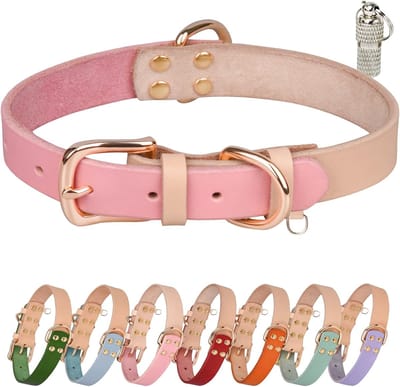 Hondenhalsband met naam en gegevens, leer, met belletjes voor kleine en grote honden