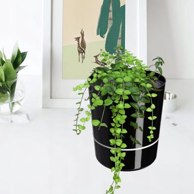 KADAX Bloempot, ronde plantenbak, tweedelige plantenpot voor bloemen en planten, balkon, moderne kunststof bloempot voor binnen en buiten, glanzend (25 cm, zwart)