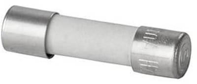 Weidmüller 2780760000 RS-FUSE 5X20 10A250V F Buiszekering 10 A Snel -F- Inhoud 10 stuk(s)