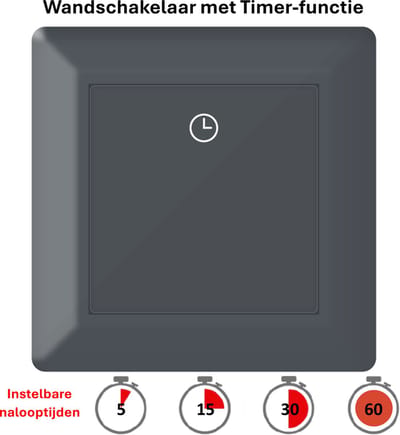 Freelux Timer Tijdschakelaar | LED lamp | Verwarming | Ventilator | 230VAC-10A | nuldraad niet nodig | inbouw | stopcontact | antraciet mat gelakt