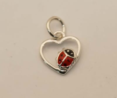 Sterling zilveren kinder hanger van een lieveheersbeestje in hartje - leuke zilver hangertje lieveheersbeestje voor kind of volwassen die een klein hangertje wil - lieveheersbeestje in hartje hangertje voor ketting gemaakt van 925 zilver