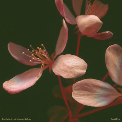 Pachakuti & Young.Vishnu - Semilla (LP)