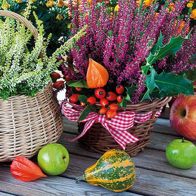Ambiente - Heather Baskets - Papieren lunch servetten - 2 pakken - 33x33cm - Herfst