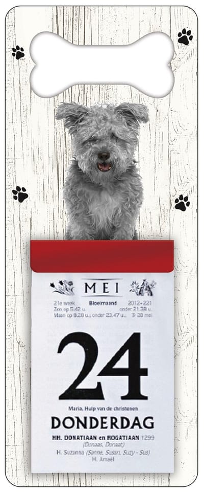 Scheurkalender 2027 Hond: Pumi