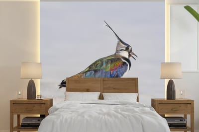 Behang - Fotobehang Vogel - Dieren - Zand - Kievit - Breedte 350 cm x hoogte 350 cm