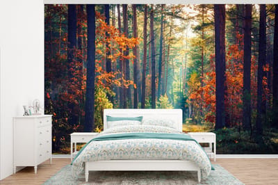 Behang - Fotobehang Bos - Zon - Natuur - Herfst - Breedte 345 cm x hoogte 220 cm