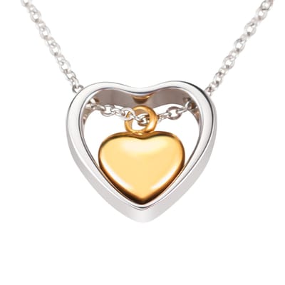 Quiges - RVS - Ashanger - zilver & goud kleurig - Urn - Hart - Met - Verstelbare - Ketting - 45 - 50cm en vulsetje - Asketting - As sieraad - SLSA045