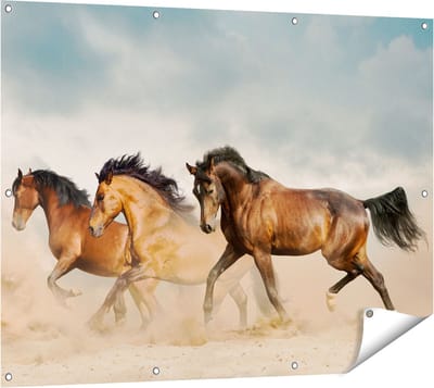 Gards Tuinposter Drie Bruine Paarden - 120x90 cm - Tuindoek - Tuindecoratie - Wanddecoratie buiten - Tuinschilderij