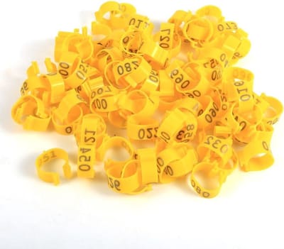 16MM Genummerde Plastic Pootbanden voor Pluimvee - 100 Stuks voor Kippen, Eenden en Ganzen in Geel