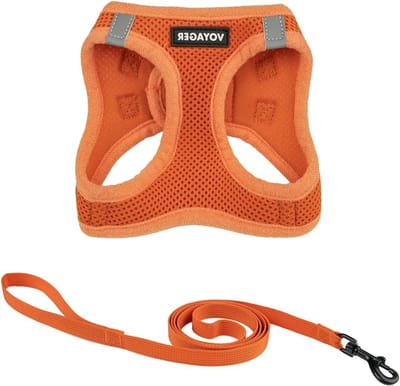 Katentuigje - Harnas voor katten - Veilig wandelen - Instap design - XS (34-38 cm) - Oranje
