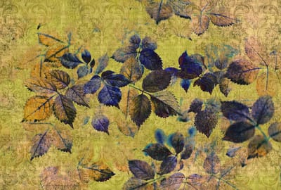 Fotobehang indian summer1 DD114092 Livingwalls Walls by Patel | 3D Fotobehang
