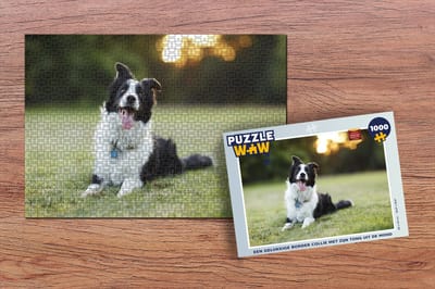 Puzzel Een gelukkige border collie met zijn tong uit de mond - Legpuzzel - Puzzel 1000 stukjes volwassenen