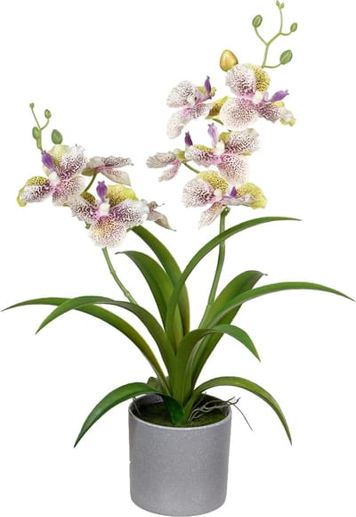 Louis Maes Orchidee bloemen kunstplant - in bloempot - creme/lila bloemen - H38 cm
