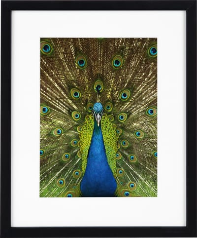 Goldbuch - Fotolijst Pino - Zwart - 13x18 cm (20x25 cm)