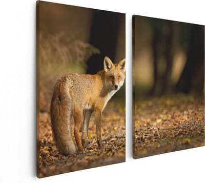 Artaza Canvas Schilderij Tweeluik Vos in het Herfstbos - 80x60 - Foto Op Canvas - Canvas Print
