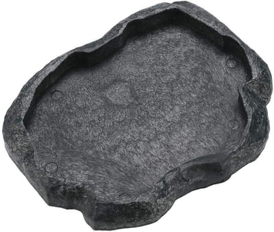 Dailygoody - Duurzame reptielen-voederkom - Voederschotel voor schildpad en hagedis - Groen M - Hars waterkom voor terrarium - Geschikt voor reptielen