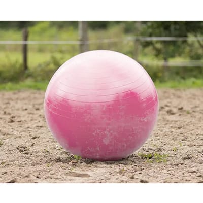 QHP Paardenvoetbal Roze - One size