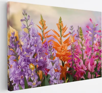 Saammp Canvas Schilderij - Vrolijke bloemencompositie - Kleurrijk - Natuur - Abstract - 30x20 - Foto op canvas - Wanddecoratie - Muurdecoratie Woonkamer - Kantoor Decoratie