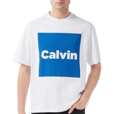 T-shirt Korte Mouw Calvin Klein Jeans Calvin Box Gra