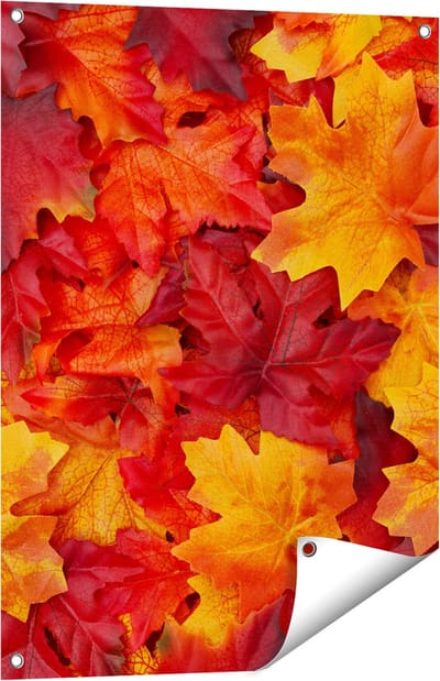 Gards Tuinposter Herfstbladeren in het Oranje en Rood - 60x80 cm - Tuindoek - Tuindecoratie - Wanddecoratie buiten - Tuinschilderij