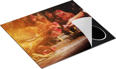 Chefcare Inductie Beschermer Kippen Krijgen te Eten - 60x50 cm - Afdekplaat Inductie - Kookplaat Beschermer - Inductie Mat