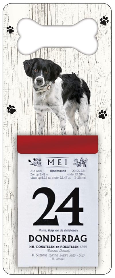 Scheurkalender 2027 Hond: Friese Stabij