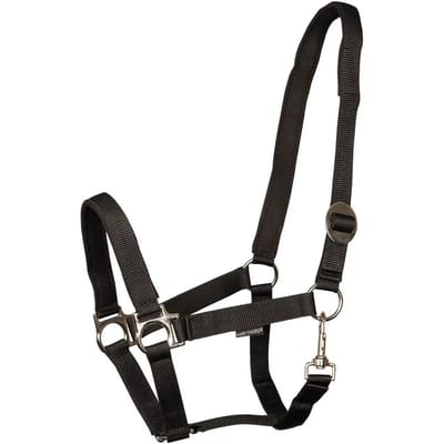 Harry's Horse Halster padded Shetland Zwart